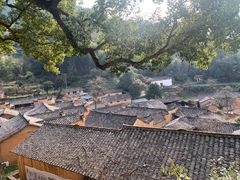 -杨家堂村