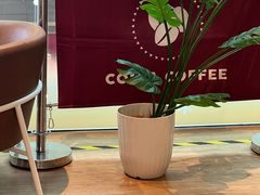 -COSTA COFFEE(恒基名人购物中心店)