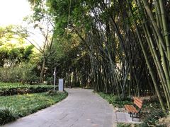 -四川大学(望江校区)