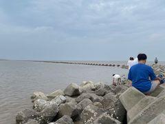 -南汇嘴观海公园