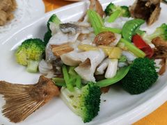 碧绿骨香鲈鱼-肥姐美食(同福中路店)