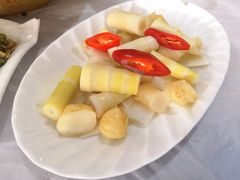 -明升萝卜汤