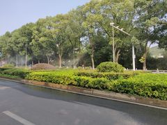 -武汉大学-樱园