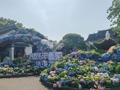 -无锡蠡湖国家湿地公园-蠡园