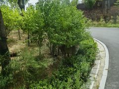 -太原动物园