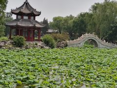 -莲池书院博物馆