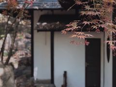 -新洲生态园