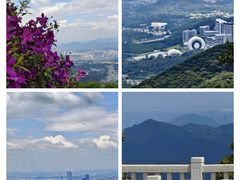 -黄埔油麻山森林公园