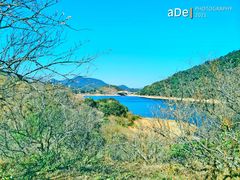 -广州市流溪河国家森林公园