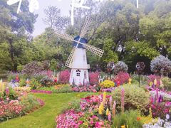 -上海共青森林公园