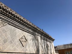 -塔尔寺菩提树