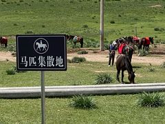 -山丹皇家马场