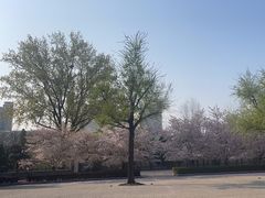 -日本大使馆-新闻文化中心