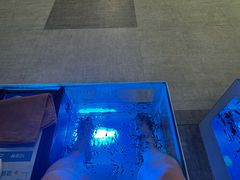 -汤连得温泉馆(宝山店)