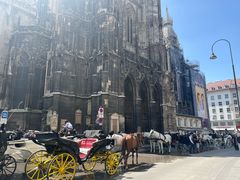 -斯蒂芬主教座堂(Stephansdom)
