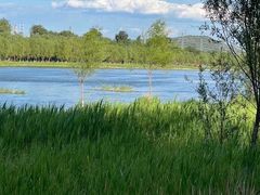 -永定河休闲森林公园