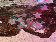 -沈阳海洋探索中心