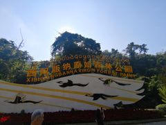 -西双版纳原始森林公园