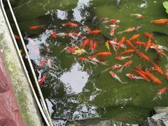 -左撇子私房面