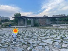 -马家湾湿地公园