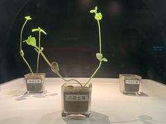 -贝林大翅鲸简餐厅(国家海洋博物馆店)