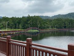 -海南热带雨林国家公园吊罗山景区
