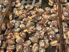 -海鲜e族(马王堆店)