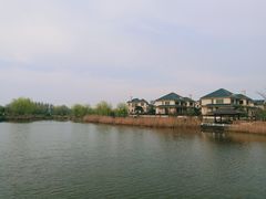 -杭州湾海上花田景区