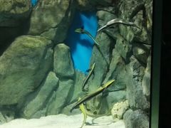 -福州罗源湾海洋世界旅游区