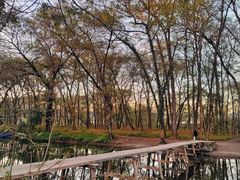 -西溪南古村落景区