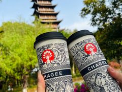 景点-常熟方塔园