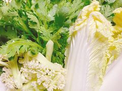 -山大王菌莊