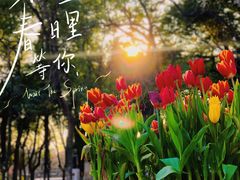 -苏州公园(双塔街道)