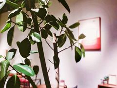 -朴物良社(东明锦园店)