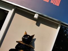 -飞行喵MR PILOT|猫舍·猫咖(静安大融城店)