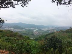 -广州市流溪河国家森林公园