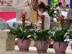 -百荣世贸商城