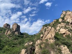 -大岭沟猕猴桃谷风景区