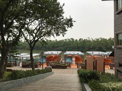 -大湾区中央湿地公园