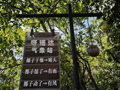 -呀诺达热带雨林