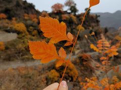 -北京上方山国家森林公园