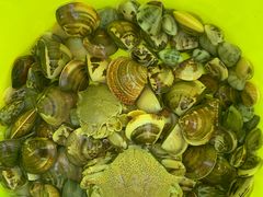 -红树林天天赶海