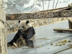 -无锡动物园·太湖欢乐园