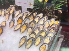 -钱小奴创意自助餐厅·原切谷饲安格斯畅吃(宁波慈溪爱琴海店)