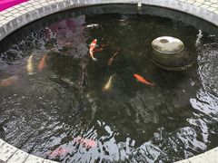 -红线女旧居