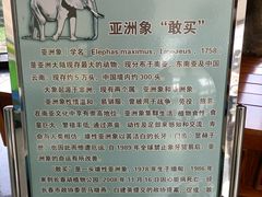 -吉林省自然博物馆