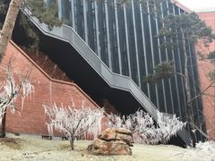 -清华大学-清芬园