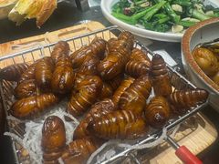 -鸽子窝(青塔店)