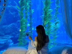 -南昌融创海世界