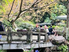 -望江楼公园